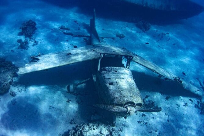 Want to escape? Treat yourself to a snorkeling session in Tahiti! - Who should book the Kaoriki outing