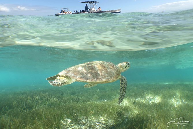 Water Taxi Signal Island Turtle Tour for cruisers - The water taxi ride to Signal Island