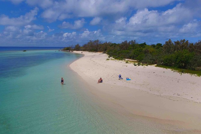 Water Taxi Signal Island Turtle Tour for cruisers - Who will enjoy this trip most