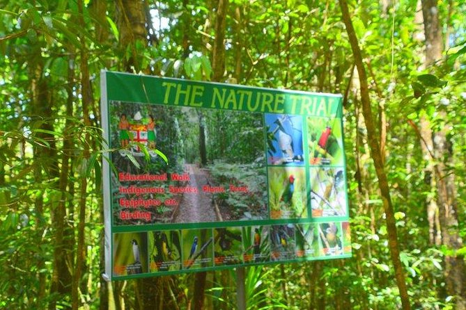 Waterfalls and Nature Tour - Waisila Falls and the waterfall stops