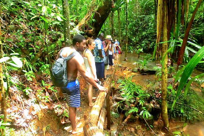 Waterfalls and Nature Tour - Swimming in the natural pools