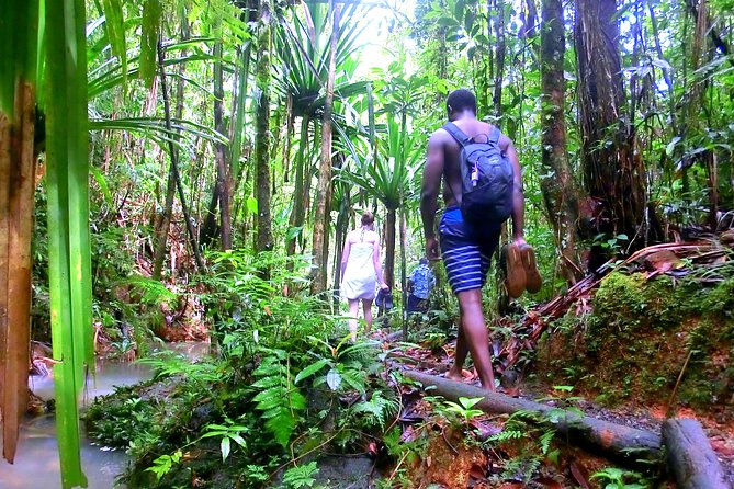 Waterfalls and Nature Tour - What the guide adds to a private walk