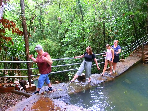 Waterfalls and Nature Tour - Two parking areas, two ways into the forest