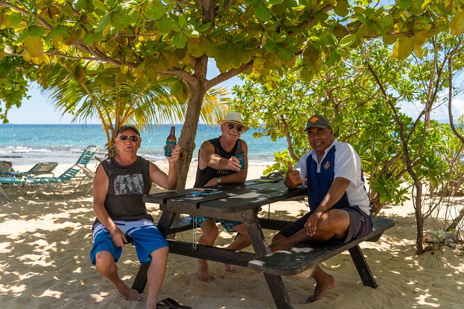 Whale's Tale Day Cruise from Port Denarau - How the value compares with a simpler island trip