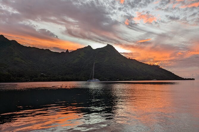 Whale watching 6 people half day - The value of $273.29 per person