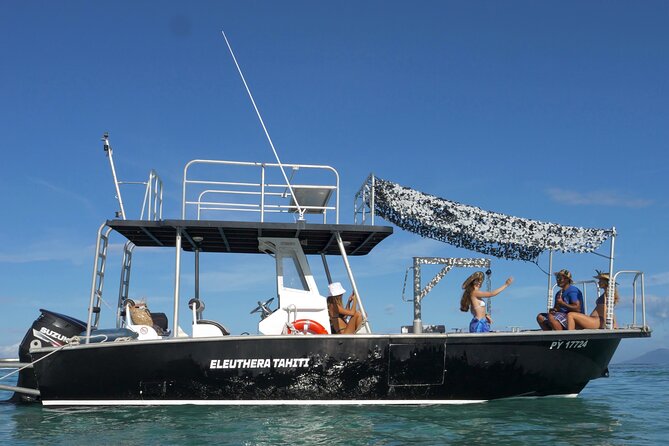 Whale Watching Activity - Meeting the boat at Marina Taina