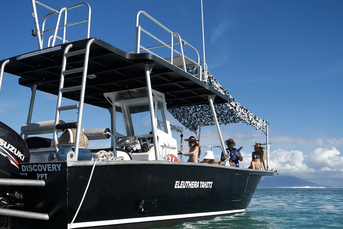 Whale Watching Activity - Reef snorkeling and turtles add welcome variety