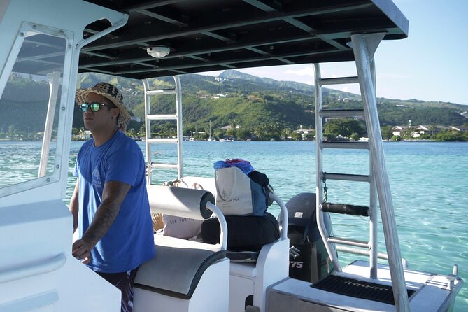 Whale Watching Activity - Equipment, comfort, and what to bring