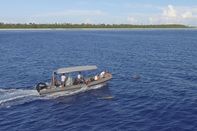 Whale Watching Bora Bora - Comfort items make the long search easier