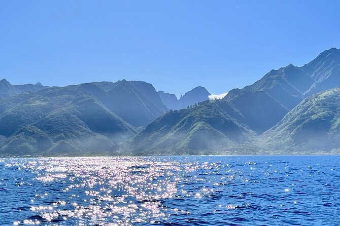 Whale watching DE Humpback West Coast of Tahiti - The crew and the feel of the outing