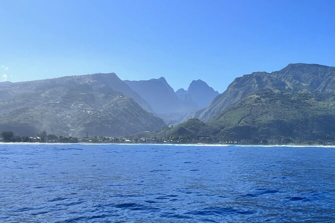 Whale watching DE Humpback West Coast of Tahiti - A four-hour search for whales