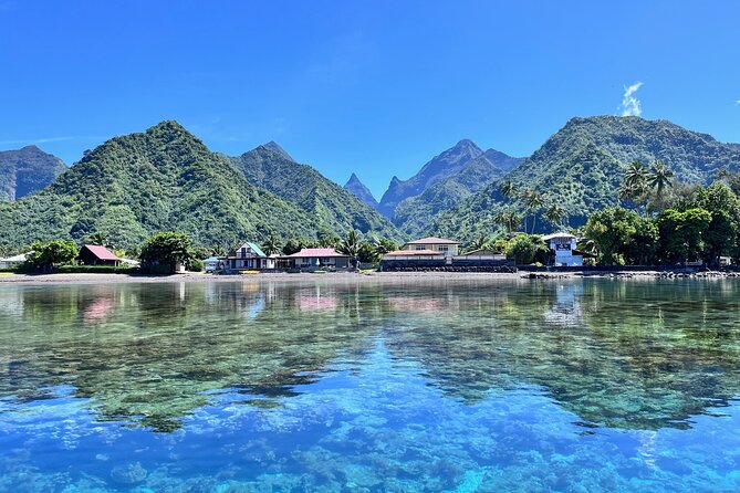 Whale watching DE Tahiti Peninsula - Key points before you book