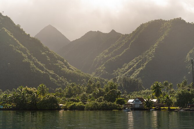 Whale watching DE Tahiti Peninsula - When the whales appear, the rules take over
