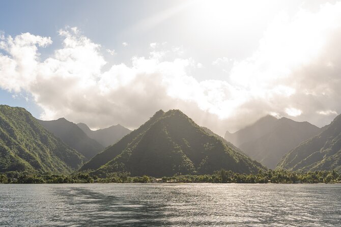 Whale watching DE Tahiti Peninsula - Weather, cancellations, and the practical fine print