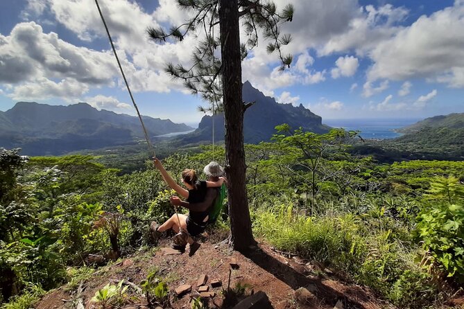 Whale watching in Moorea - Price, group size, and what you receive