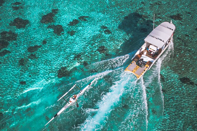 Whale Watching Shared Half Day - Who should book this Moorea outing?