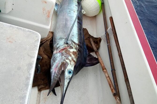 Wholesale Fishing in Poti Marara at Tahiti Teahupoo Peninsula - Practical details that affect your decision