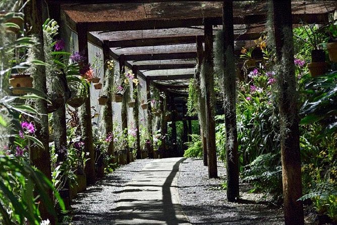 Wonders of Nadi Tour - Hindu Temple, Sleeping Giant Gardens, Markets & Shopping - The guides make the difference
