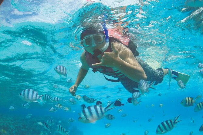 Zipline + Beach Package - Why the $49 price can be good value
