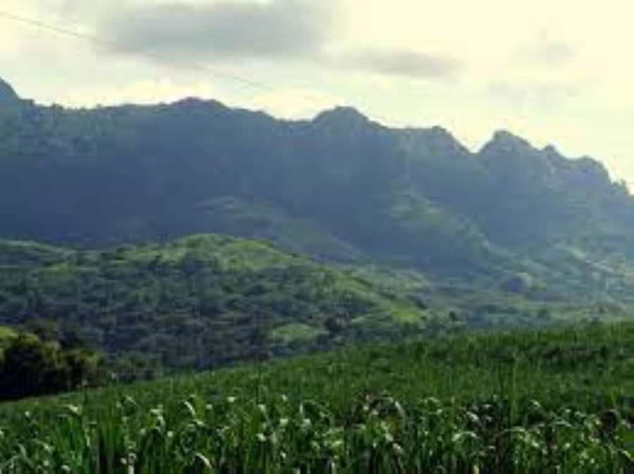 Zipline, Cave, Seaview & Mud Spa Tour with Lunch Included - Sabeto Mud Pool and Hot Springs slow the day down