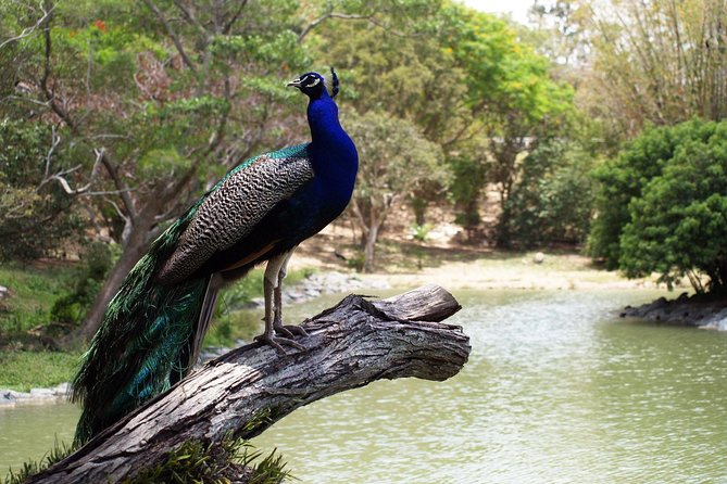 Zoological and Forestry Park Admission Ticket - Following the walking route through dry forest